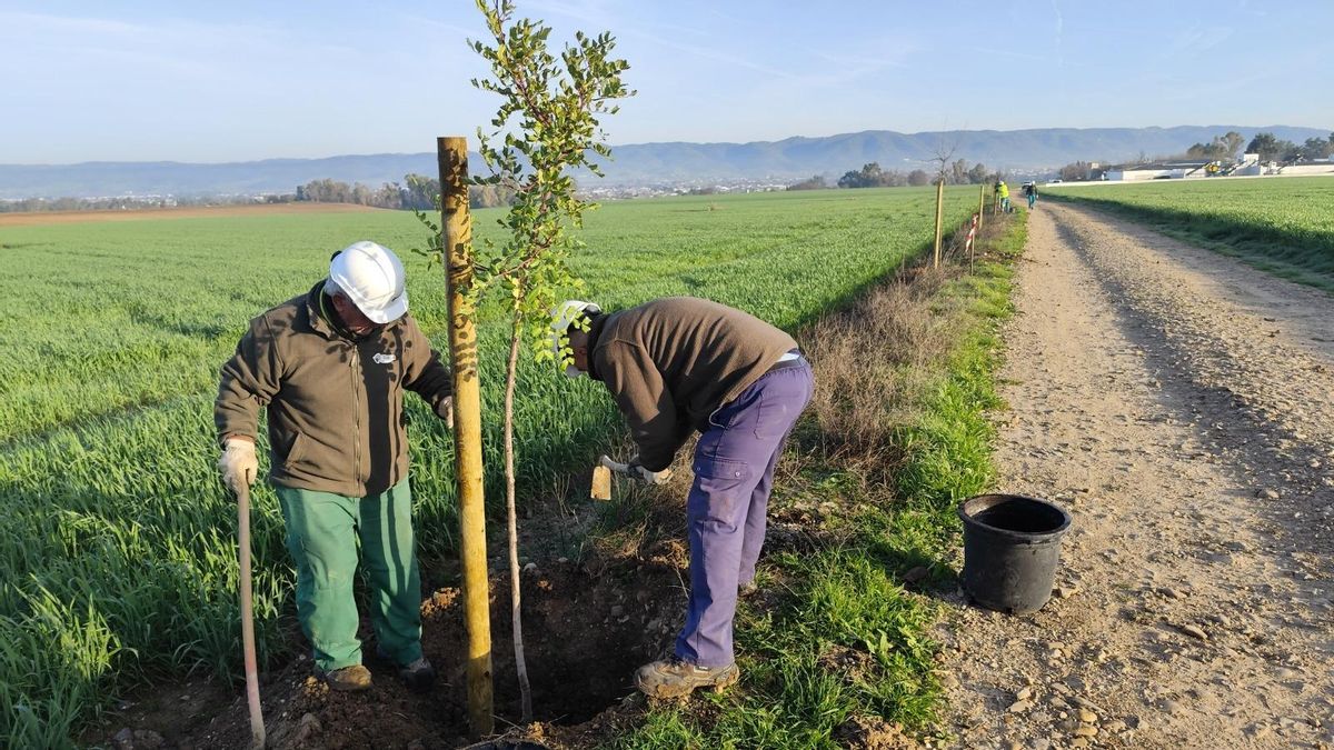 Proyecto para la mejora de la conectividad ecológica en el área piloto AP01 de la campiña de Córdoba.