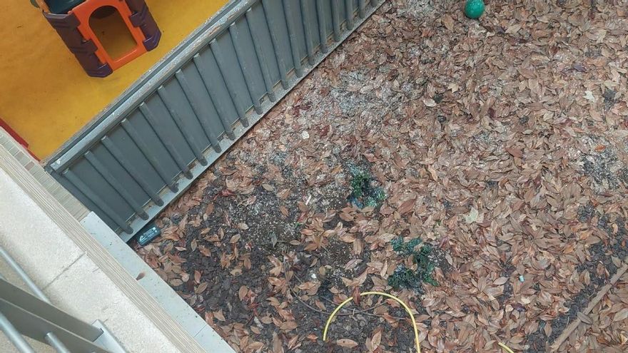 Excrementos de aves y restos de comida: denuncian la suciedad en una escuela infantil del municipio más rico de Aragón