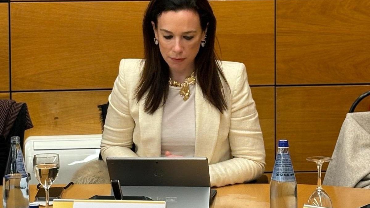 La consejera de Salud y Servicios Sociales, Sara García Espada