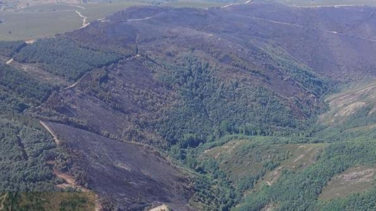 El incendio de Espina de Tremor ya no presenta llama, aunque sigue siendo el más preocupante de León
