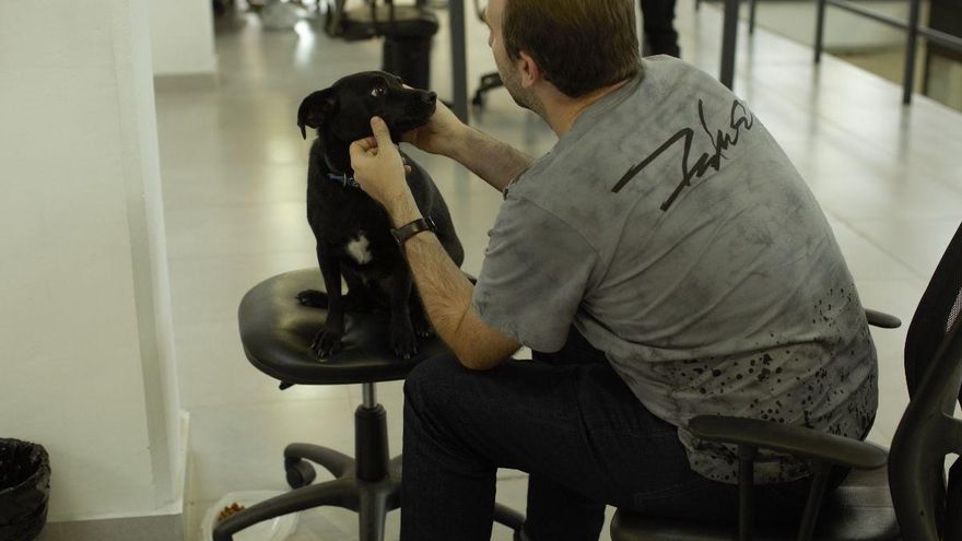 Día Mundial de llevar el perro al trabajo: ¿qué beneficios trae para empleados y empleadores?