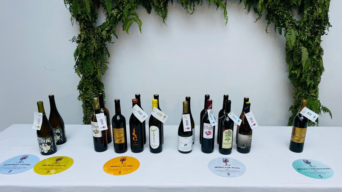 Vinos galardonados en el XXIV Concurso Insular con Denominación de Origen en las Fiestas de San Antonio del Monte.