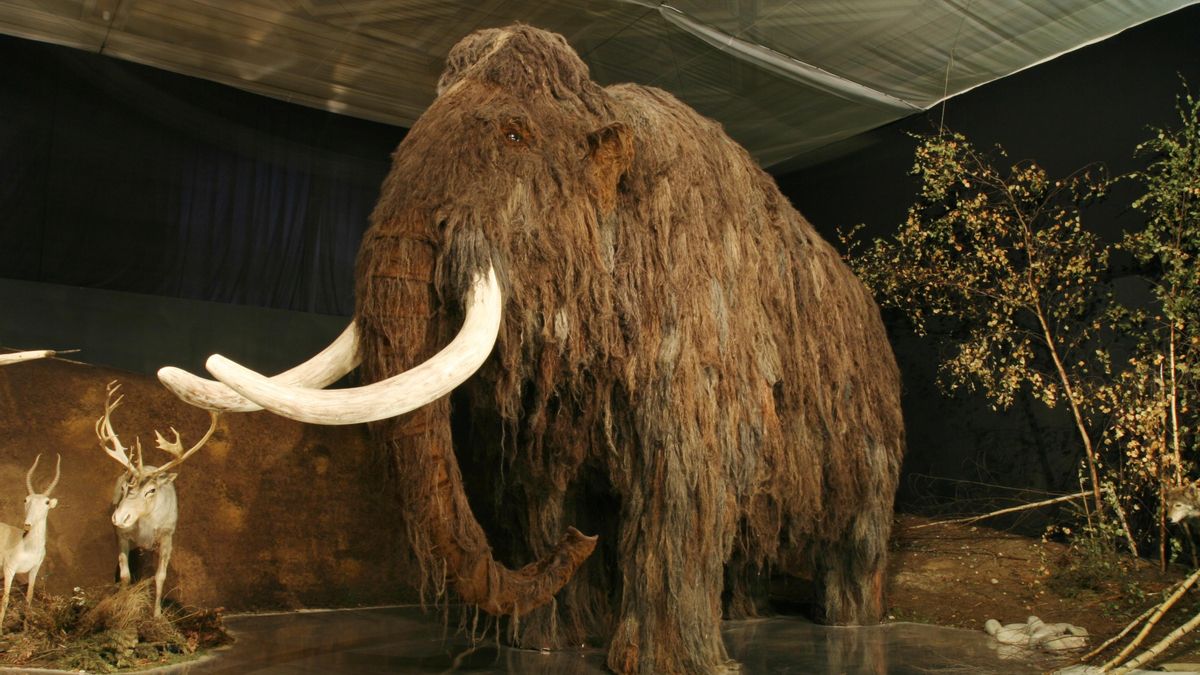 Representación de un mamut en el Museo Nacional de Praga