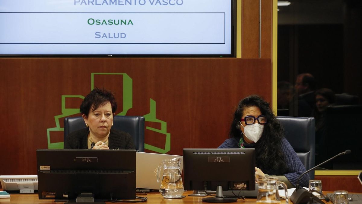 Isabelle Delgado durante su comparecencia ante la Comisión de Salud.