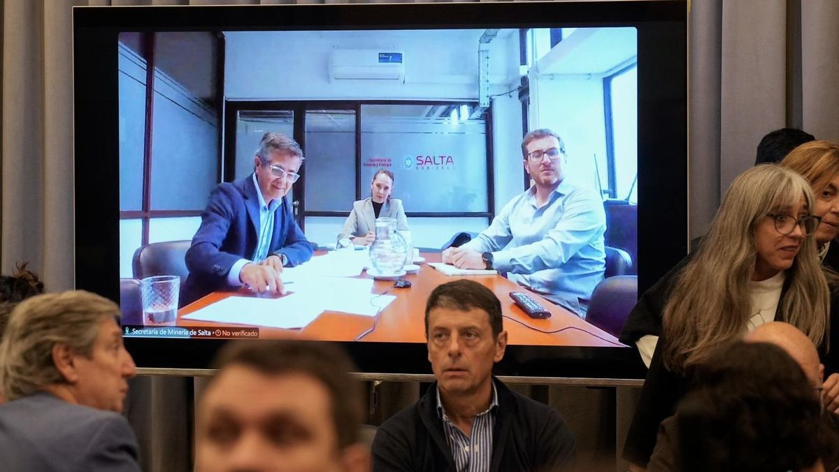 Cinco provincias y seis grandes mineras: quién es quién detrás de la reforma de la Ley de Glaciares