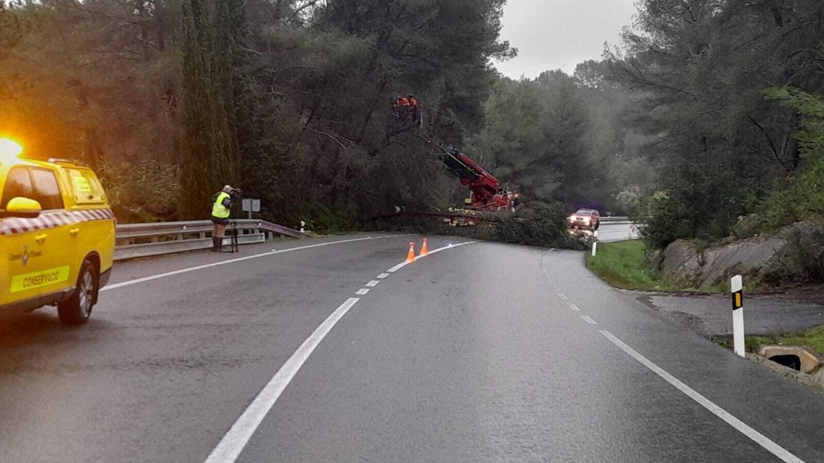 Els equips d'emergències, actuant en una de les carreteres d'Eivissa