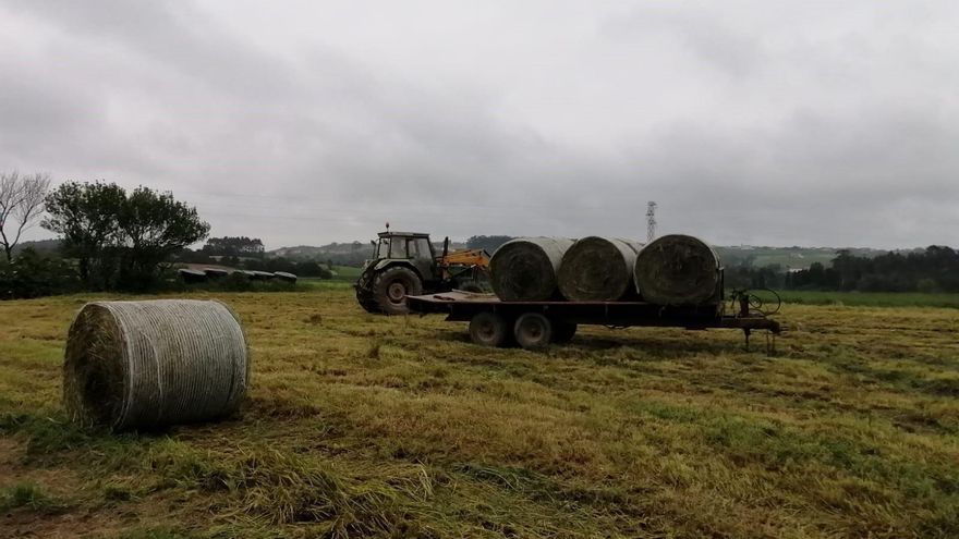 Alrededor de 680.000 agricultores y ganaderos, unos 114.000 de Castilla-La Mancha, ya pueden solicitar las ayudas directas de la PAC