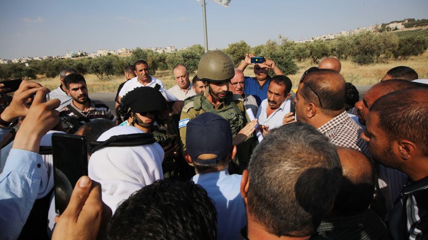 Sin olivos y sin trabajo: los agricultores de Cisjordania denuncian que Israel está arruinando su cosecha