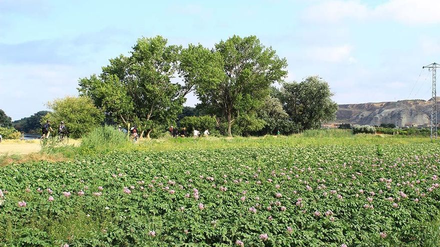 El juez tumba la paralización de parques solares en Zaragoza y avala la instalación de placas en la huerta de Movera
