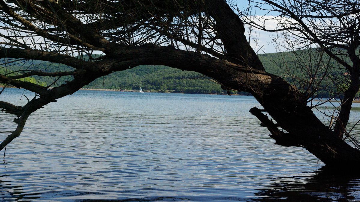 El Rasillo y su pantano