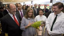 La ministra de Sanidad Ana Mato acompañada de León de la Riva, durante un acto en Valladolid / EFE