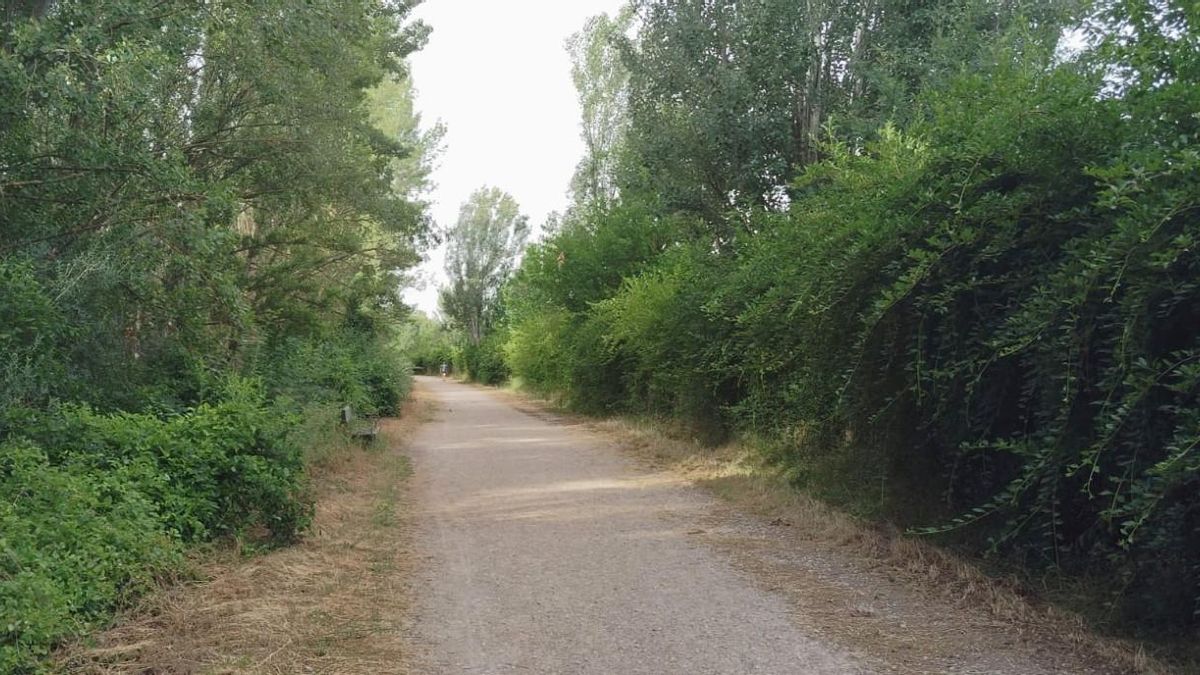 La calle Paradiña de León, cortada este miércoles por obras de asfaltado