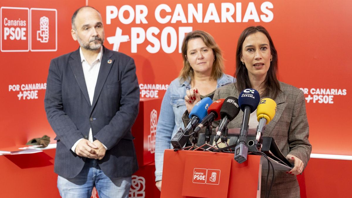 El PSOE denuncia la “incapacidad” del Gobierno canario para ejecutar fondos europeos de energía