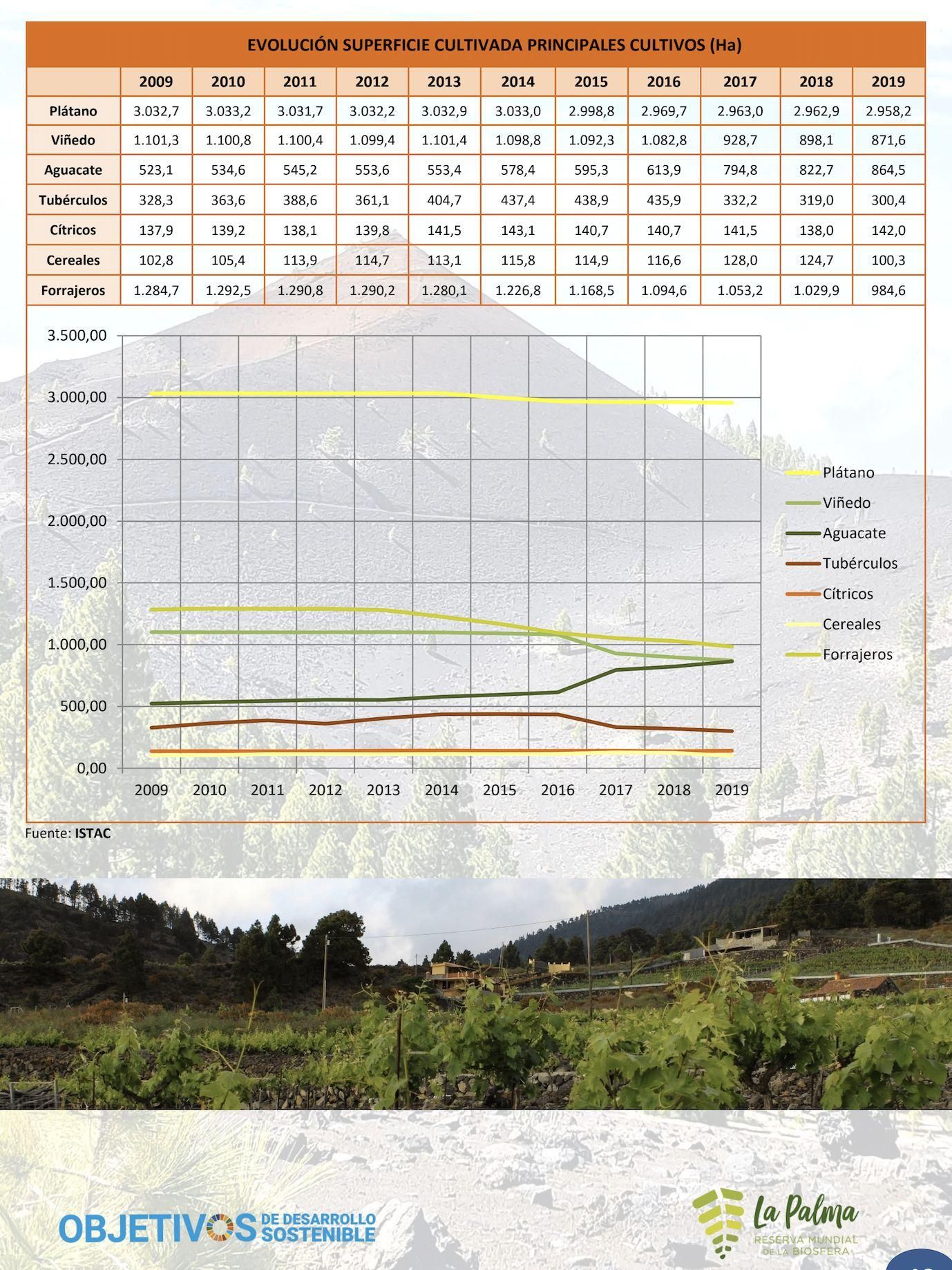 Evolución de la superficie cultivada.