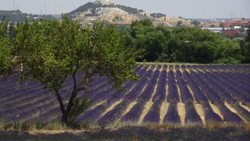 Vistas desde la ruta
