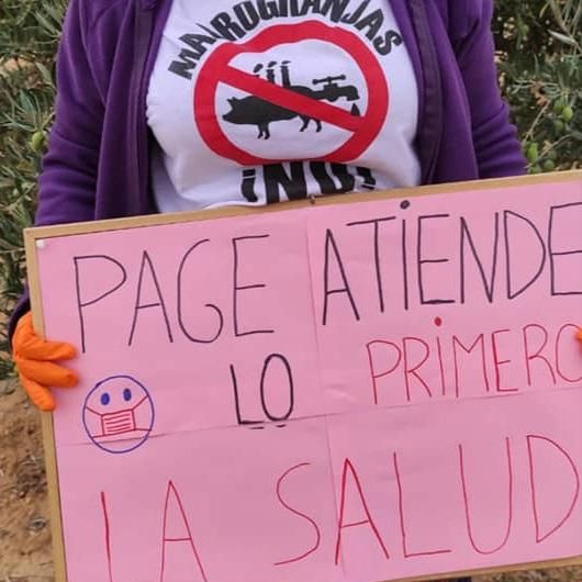 Muchos de los mensajes anti- macrogranjas van dirigidos al presidente de Castilla-La Mancha