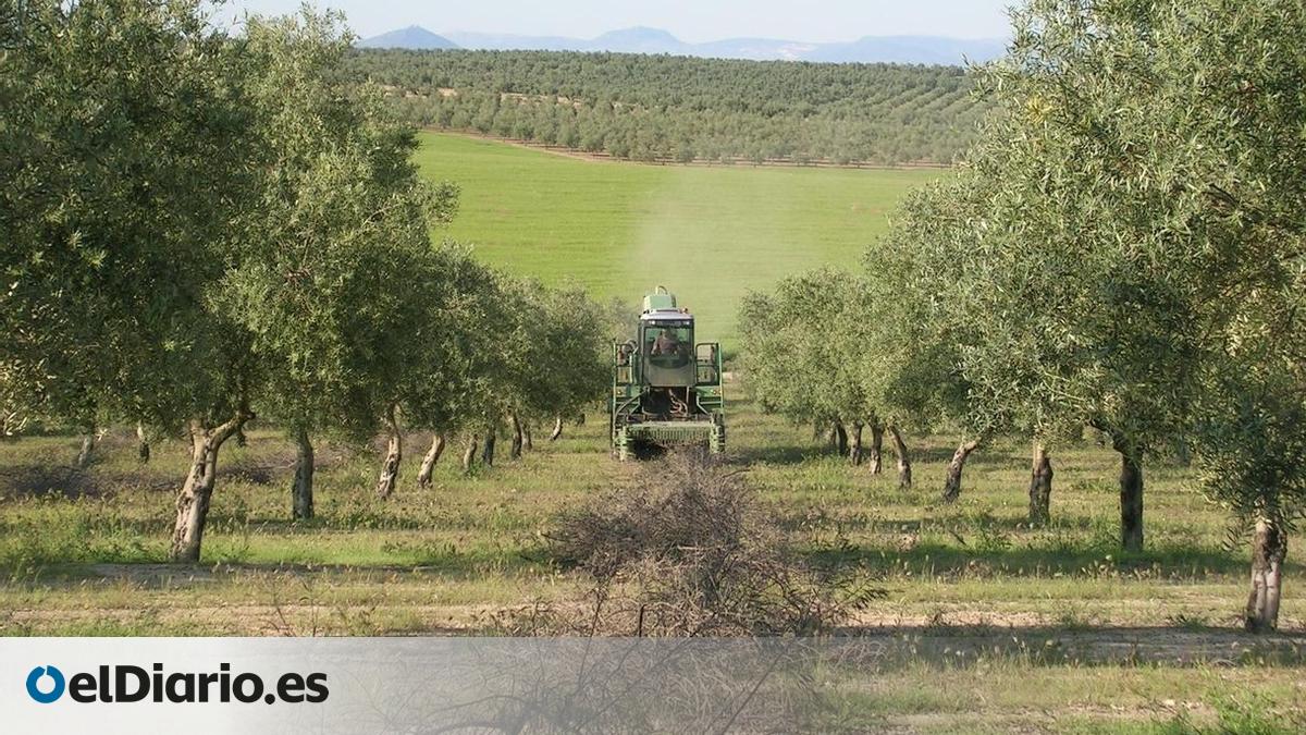 www.eldiario.es