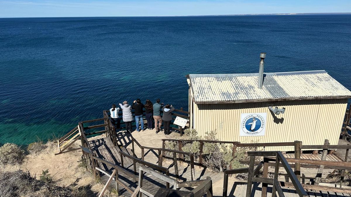 Atalaya junto al Golfo Nuevo. Un grupo de turistas ve ballenas francas australes desde Punta Flecha, en El Doradillo.