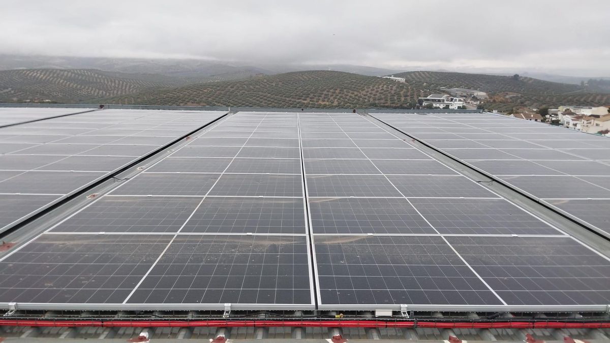 Presentan mil alegaciones contra una planta solar de 294.571 placas proyectada en la Montaña Palentina