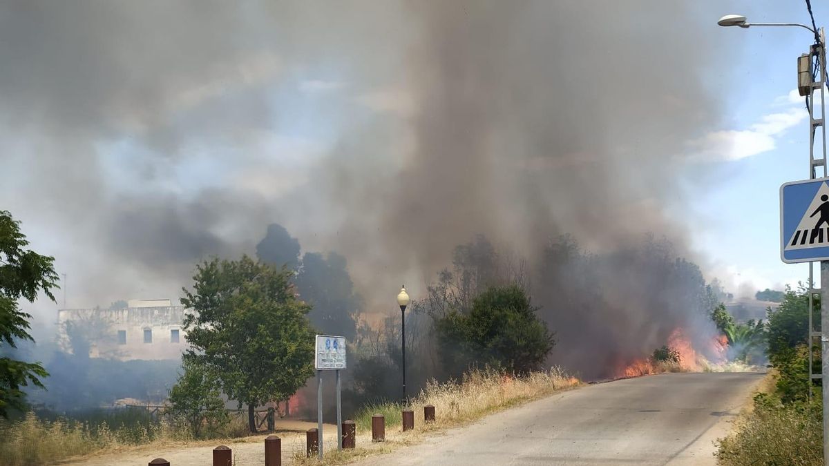 Incendio en la zona del lago y residencial de Proserpina