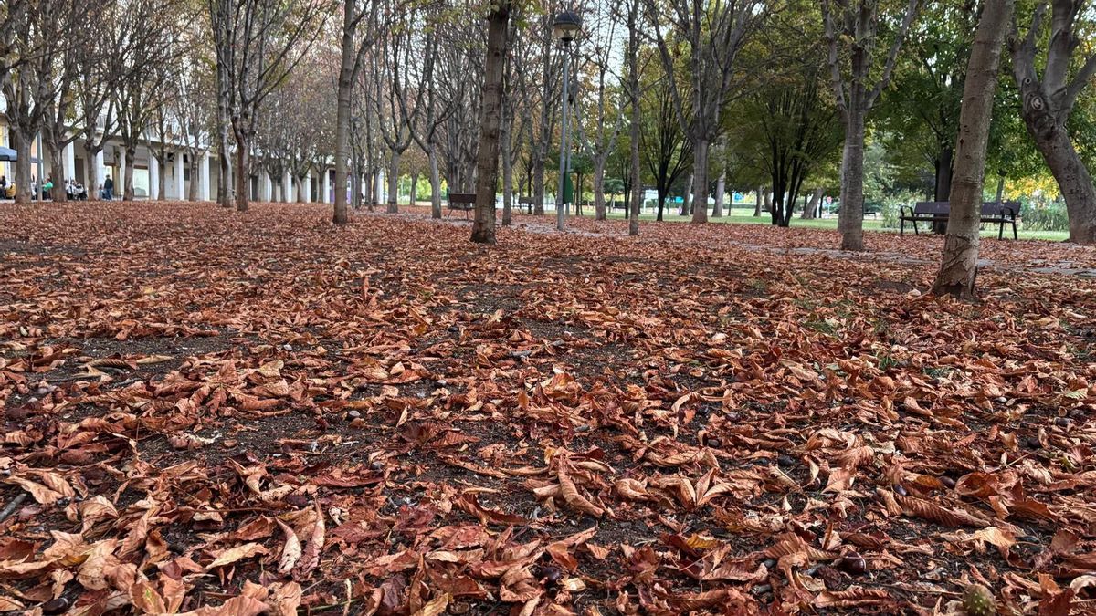 Sigue el frío y se suma la lluvia este martes en La Rioja