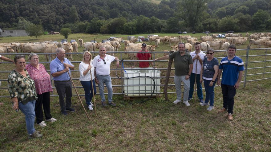 Cerca de 1.400 animales se dan cita en la quinta feria ganadera del Llano de Penagos