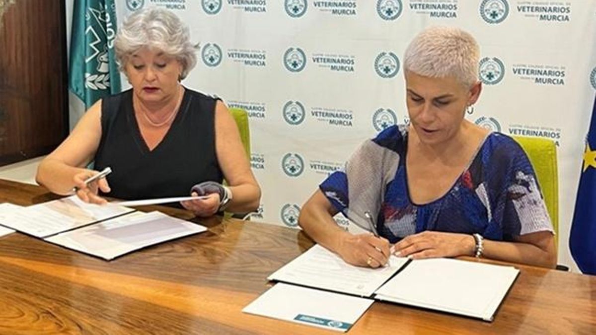 Teresa López, presidenta del Colegio de Veterinarios, y Mari Carmen Morales, alcaldesa de Beniel, firman el nuevo convenio de colaboración