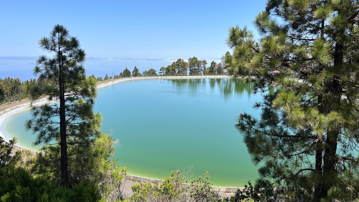 Balsa de Montaña del Arco, en Puntagorda.