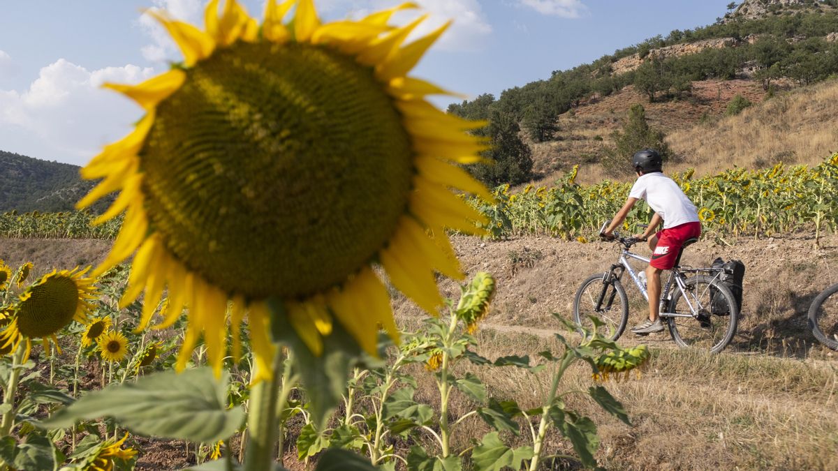 La Ruta Cicloturista organizada por 'Queremos Futuro' lleva celebrándose desde el año 2008 y recorre los once municipios afectados por el incendio de La Riba de Saelices (Guadalajara) en 2005