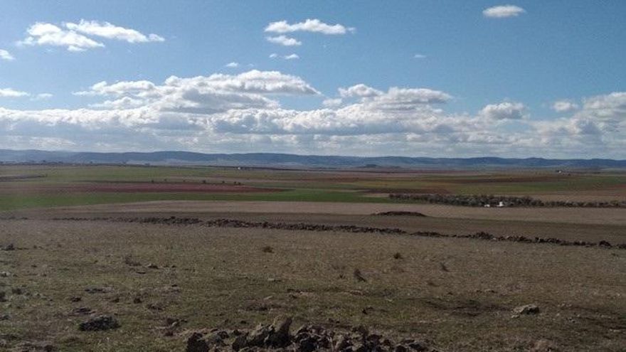 Castilla-La Mancha quiere llegar a las 40.000 licencias de caza gratuitas este año