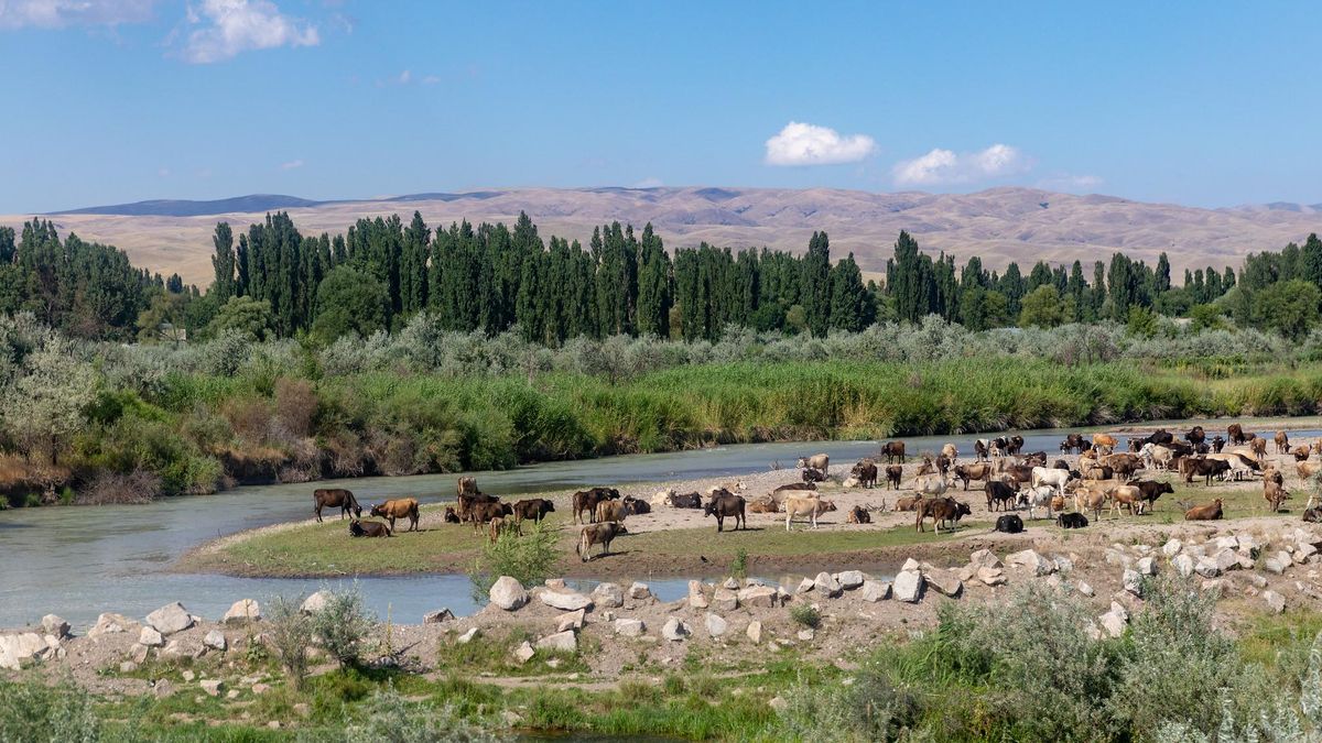 Paisajes de infarto. Las carreteras del país permiten llegar fácilmente a casi todos los rincones.