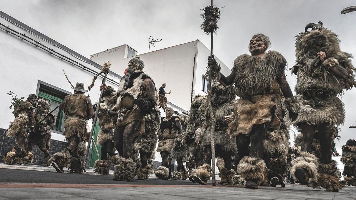 Carneros de Tigaday, en El Hierro