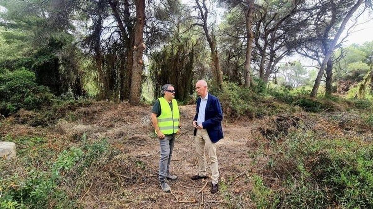 Vox desistió este verano de aplicar un tratamiento antiincendios en la Devesa del Saler que ha arrasado el fuego
