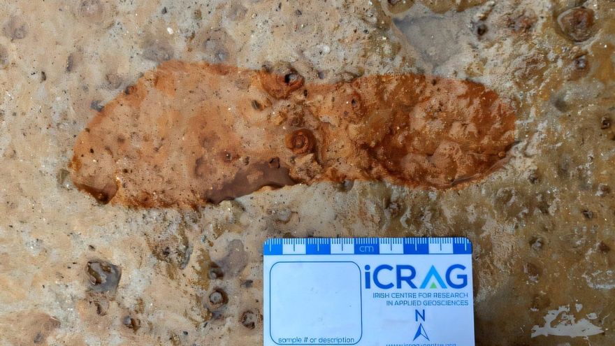 Las tormentas desentierran raras huellas de 2000 años de antigüedad en una playa de Escocia