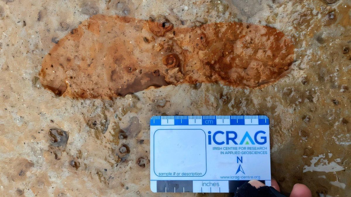 Las tormentas desentierran raras huellas de 2000 años de antigüedad en una playa de Escocia