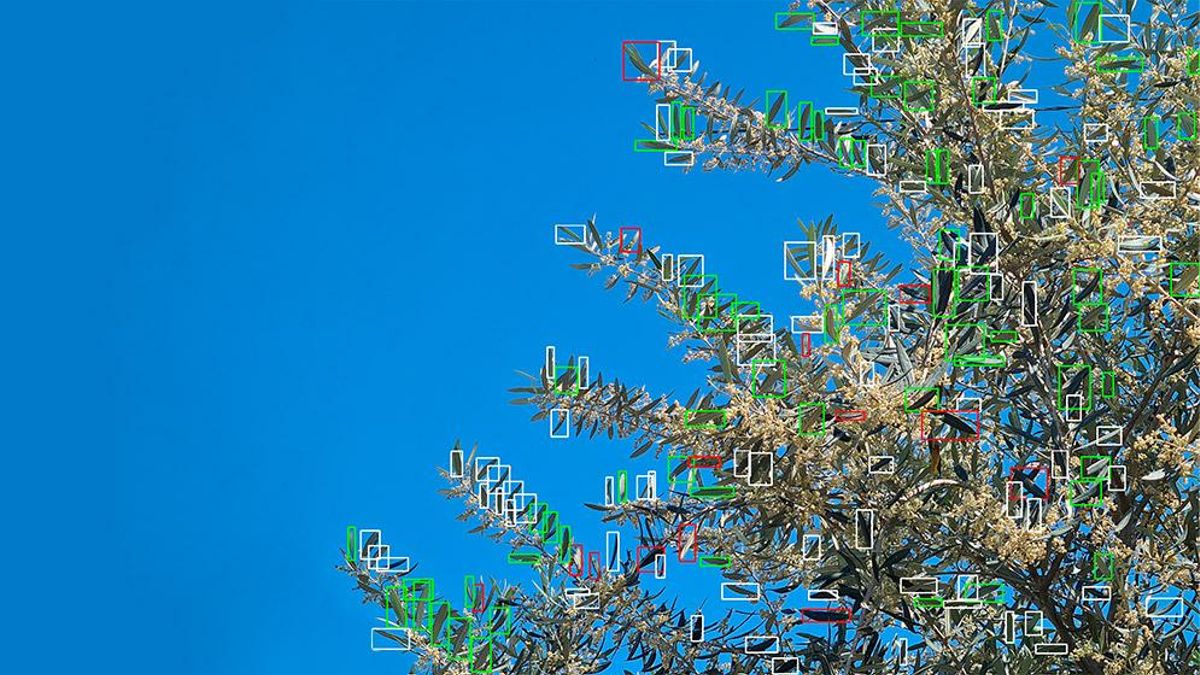 Con inteligencia artificial, un científico argentino del CONICET diseñó un robot único para controlar plagas