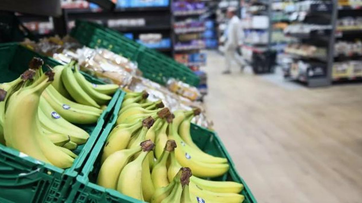 La ‘banana’ sigue comiéndole terreno al plátano de Canarias en España: la fruta importada ya copa entre el 54 y el 64% del mercado