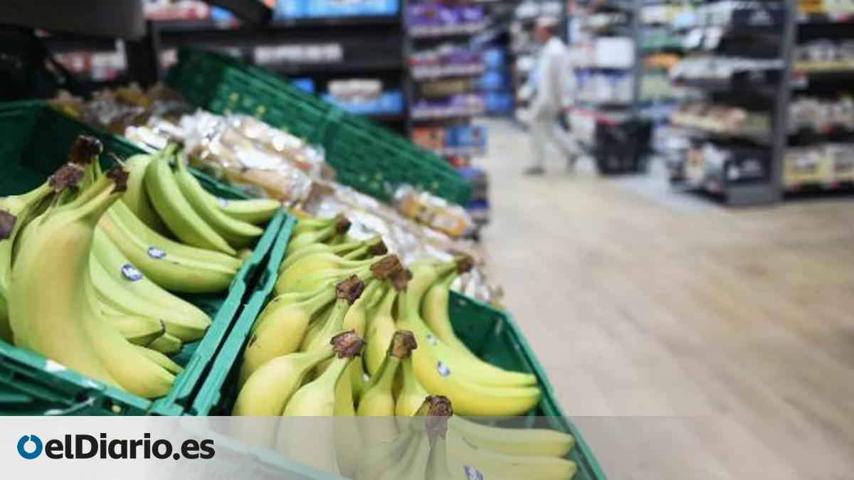 La ‘banana’ sigue comiéndole terreno al plátano de Canarias en España: la fruta importada ya copa entre el 54 y el 64% del mercado