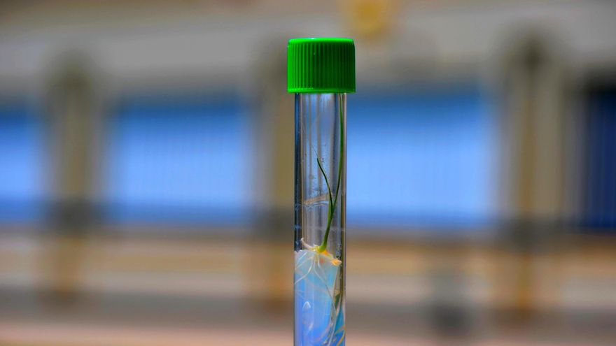 Una probeta en el laboratorio de Nucleus Biolab