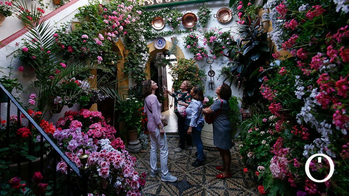 Patio Zarco, 13 - 2022