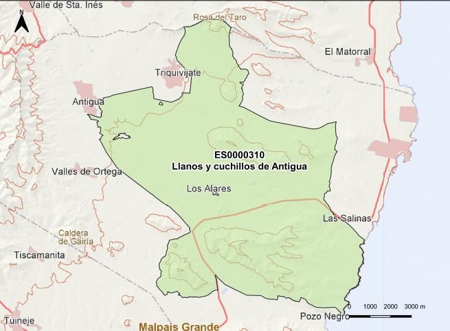 ZEPA 'Llanos y cuchillos de Antigua', en el este de Fuerteventura