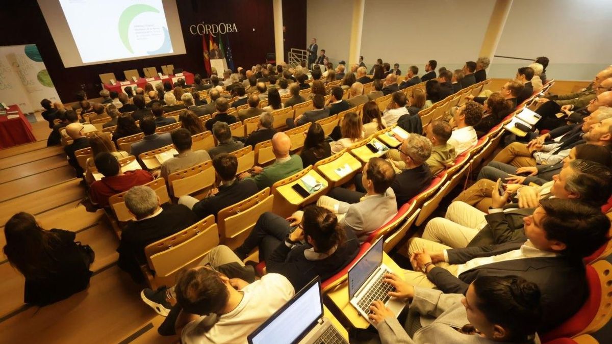 Jornadas técnicas del plan general celebradas este miércoles.