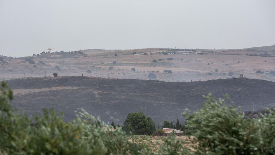 Zona quemada en el incendio de la finca Zurraquín, junto al parque Puy du Fou