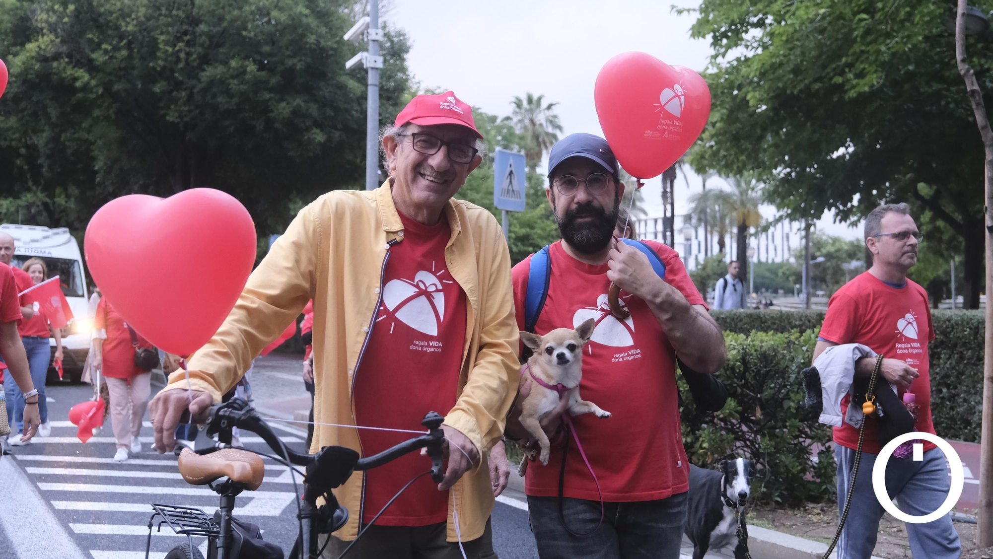 Marcha por la Donación de órganos.