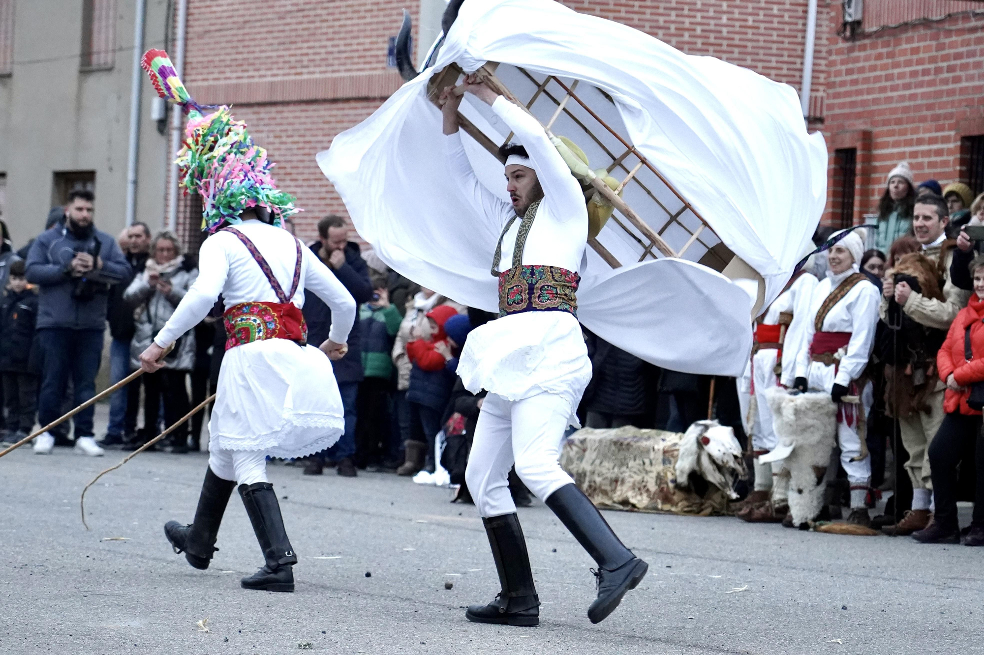 Toros y guirrios del antruejo en Velilla de la Reina