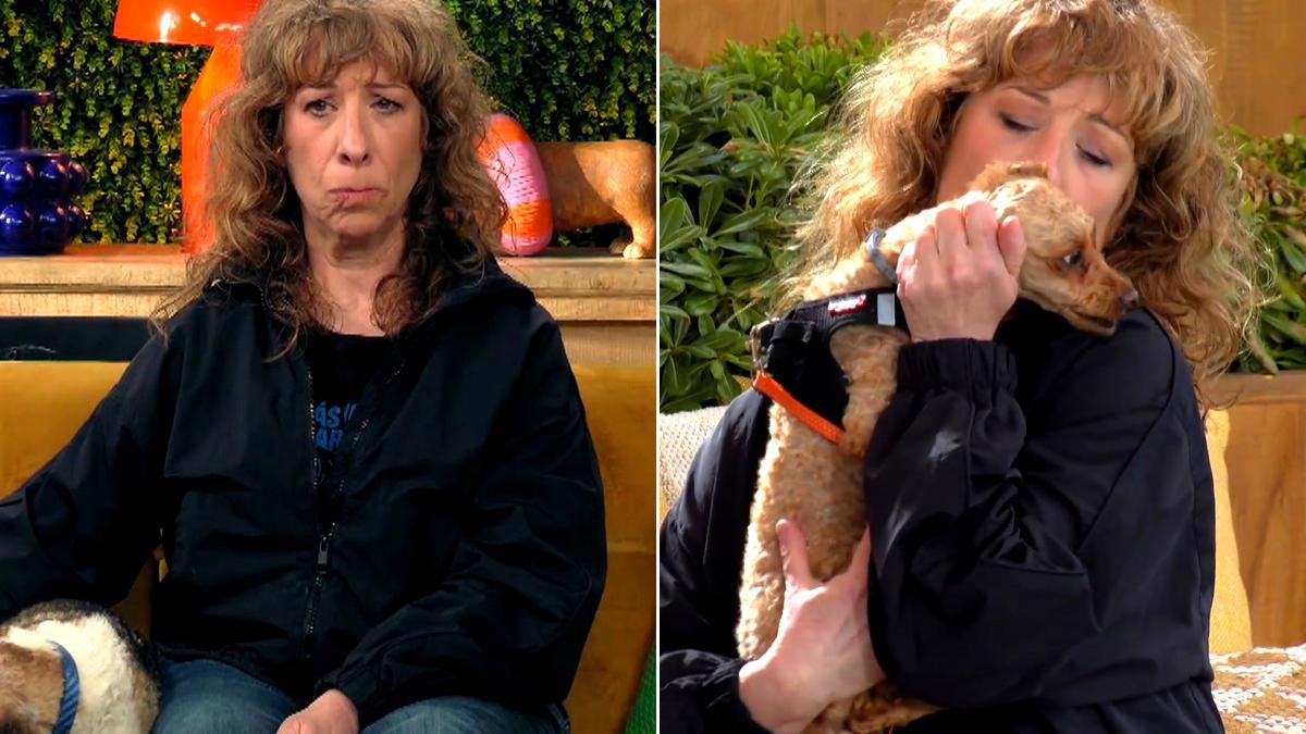 'Dog House' emociona a Nathalie Seseña con el "terrible" caso de Armoni: "¿Quién es capaz de dañar a un perro?"