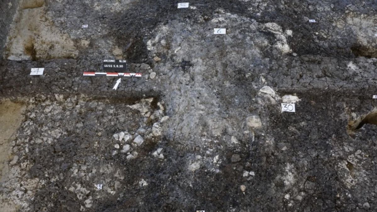 El estudio alcanzó ese nivel de detalle gracias a la micromorfología arqueológica