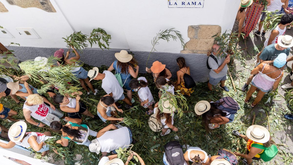 Bajada de la Rama de Agaete 2026