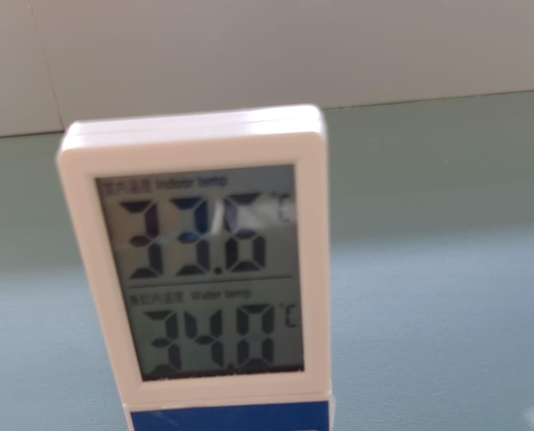 Las altas temperaturas son habituales en este centro