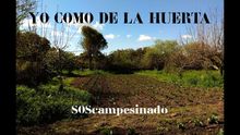 Campaña #YoComoDeLaHuerta